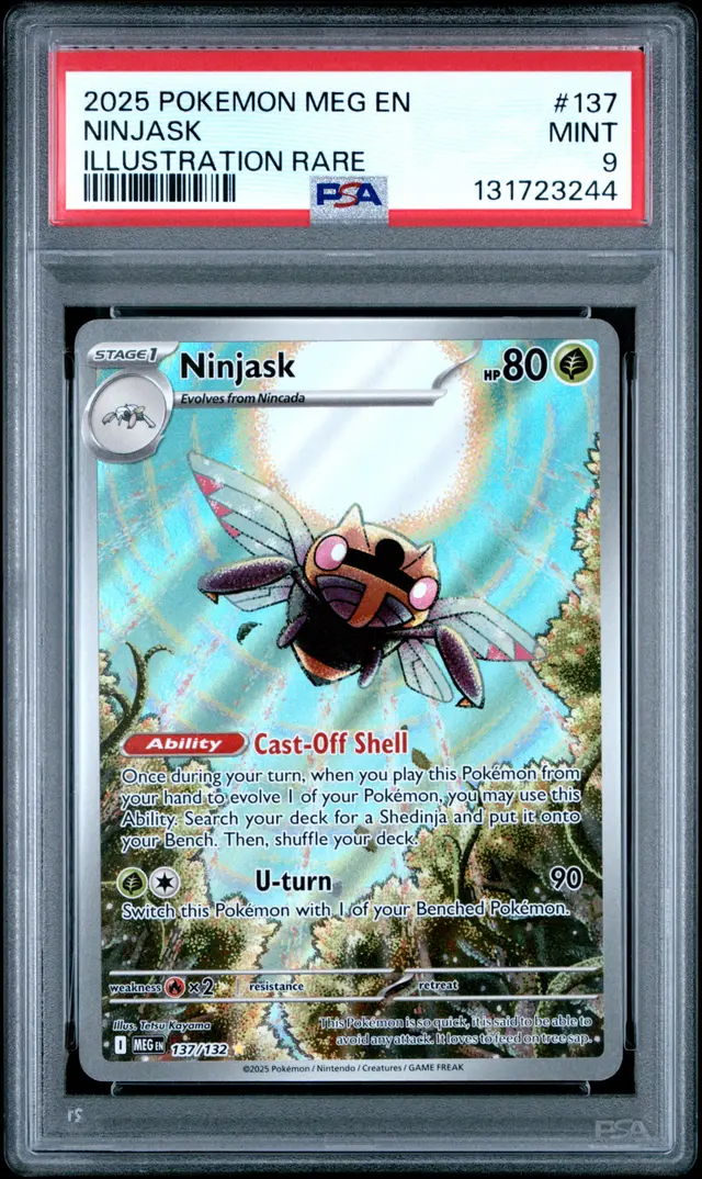Front of Ninjask #137