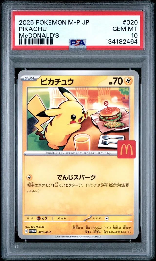 Front of Pikachu #020