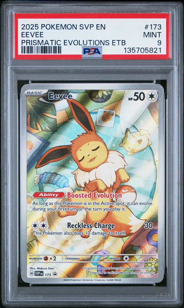 Front of Eevee #173